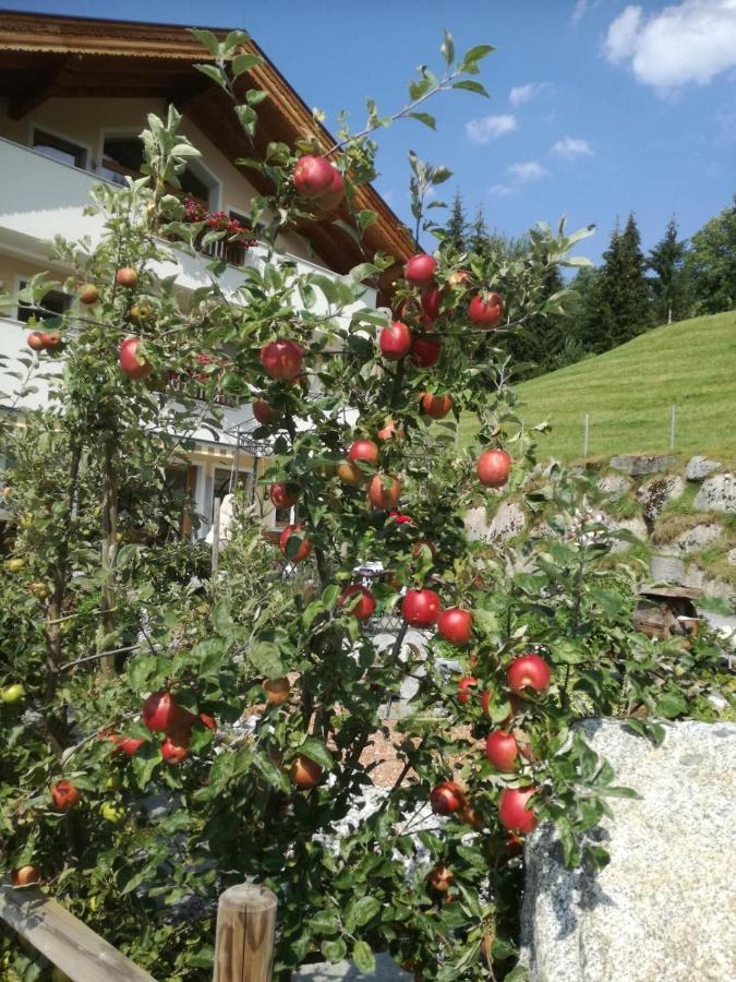 Ferienwohnungen Hinterstein Hart im Zillertal Exterior foto